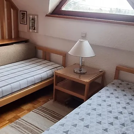 Architect's House - Peaceful And Minimalistic * Bled